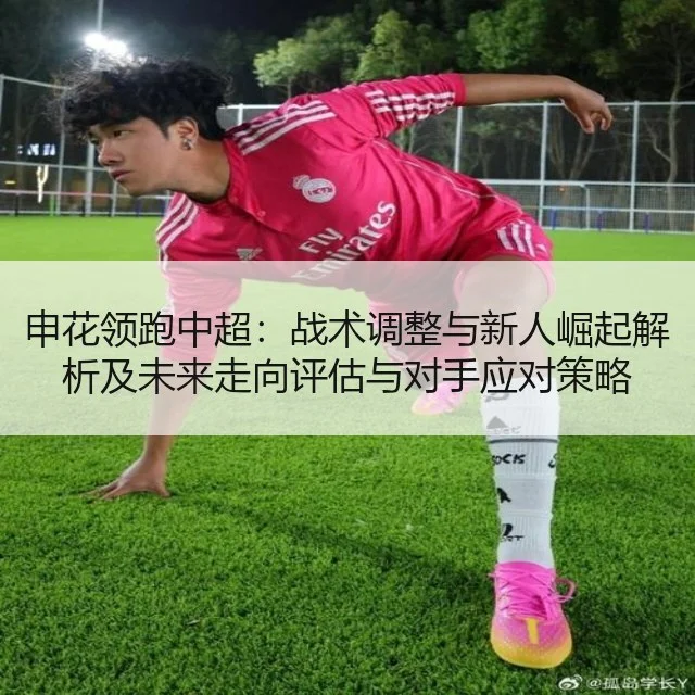 申花领跑中超：战术调整与新人崛起解析及未来走向评估与对手应对策略